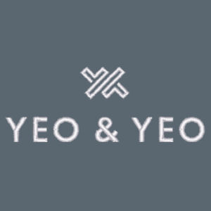 Sport-Tek® Women's Dri-Mesh® V-Neck Polo Design